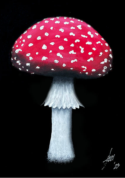 Amanita mascara art