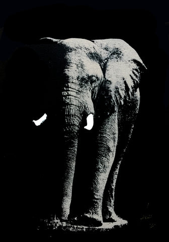 elephant art 