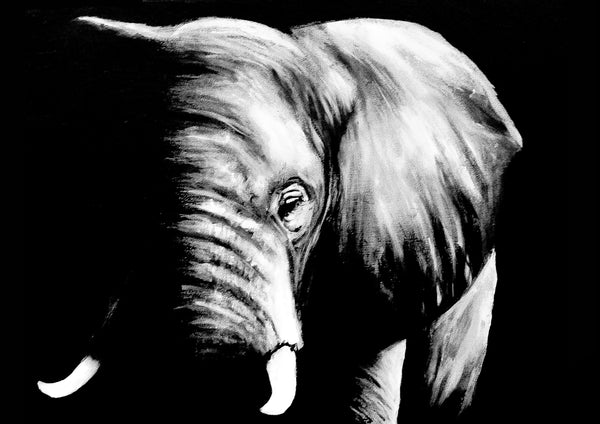 elephant art print