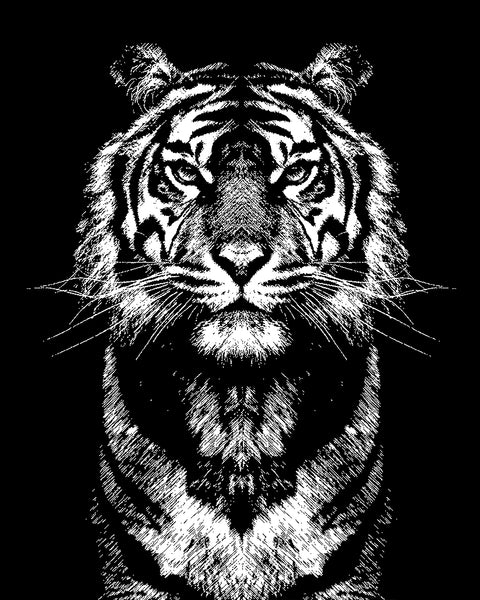 Tiger King  Art gift