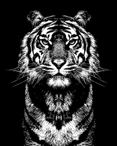 Tiger King  Art gift