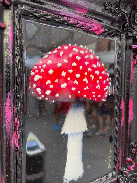 Amanita Magic