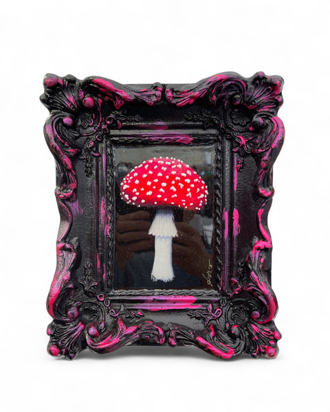 Amanita Magic