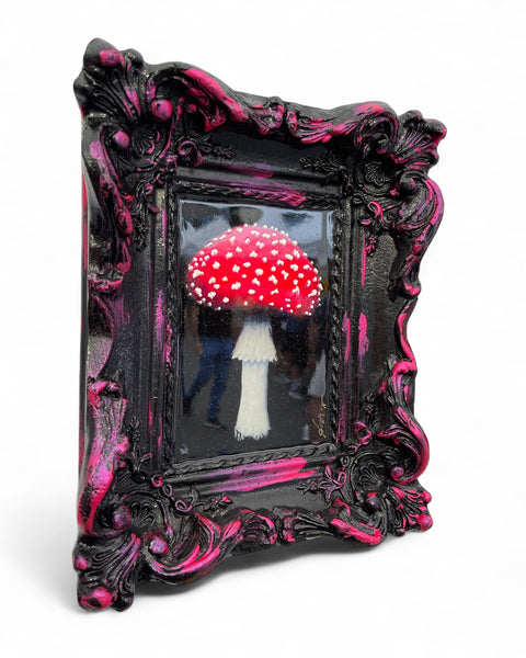 Amanita Magic