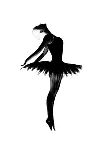 ballet dancer art 