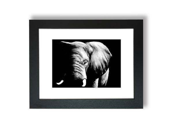 framed elephant art print